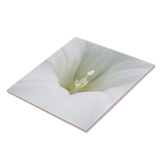 weiß und grau fliese (Seite)