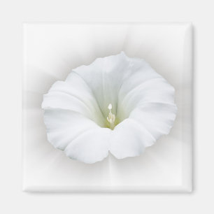 weiß und grau magnet