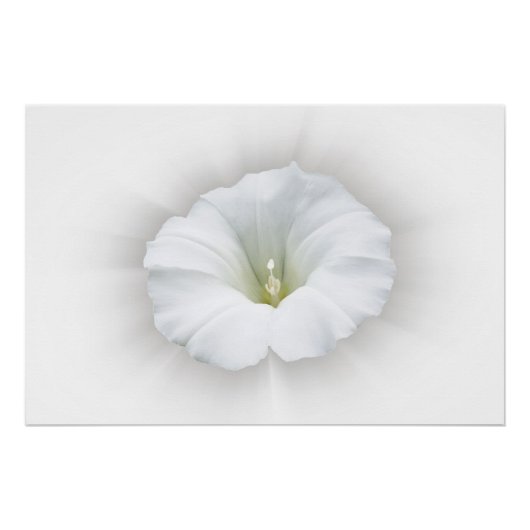 weiß und grau poster (Vorderseite)