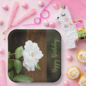 Weiß und grün - eleganter Platz Pappteller (Party)