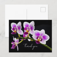 Weiß und Lila Orchid Vielen Dank Postcard