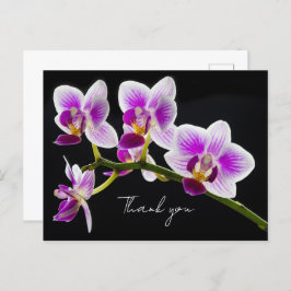 Weiß und Lila Orchid Vielen Dank Postcard Postkarte