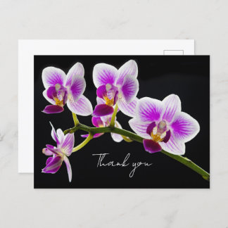 Weiß und Lila Orchid Vielen Dank Postcard Postkarte