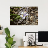 weiß und Lila Poster (Heimbüro)