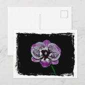 Weiß und Lila Postkarte (Vorne/Hinten)