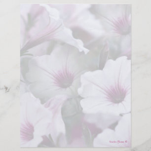 Weiß und rosa Petunias Letterhead
