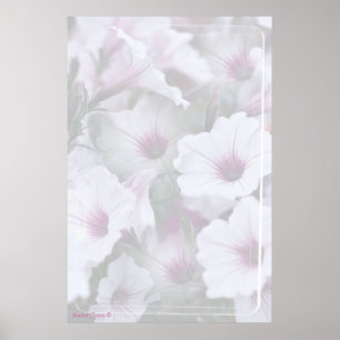 Weiß und rosa Petunias-Plakat Poster