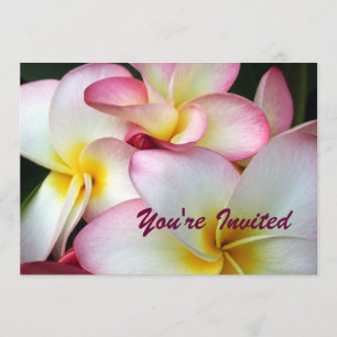 Weiß und Rosa Plumeria Einladung
