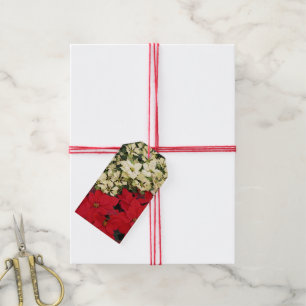 Weiß und rot Poinsettias I Holiday Floral Geschenkanhänger