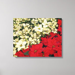Weiß und rot Poinsettias I Holiday Floral Leinwanddruck