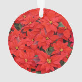 Weiß und rot Poinsettias I Holiday Floral Ornament (Rückseite)