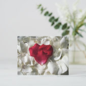 Weiß und rote Rose Blätter Postkarte (Stehend Vorderseite)