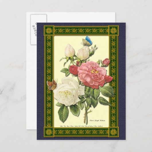 Weiß und Rote Rosen Botanische Postkarte (Vorne/Hinten)