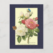Weiß und Rote Rosen Botanische Postkarte (Vorderseite)