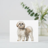 Weiß und Tan Shih Tzu Welpenhund Postkarte (Stehend Vorderseite)