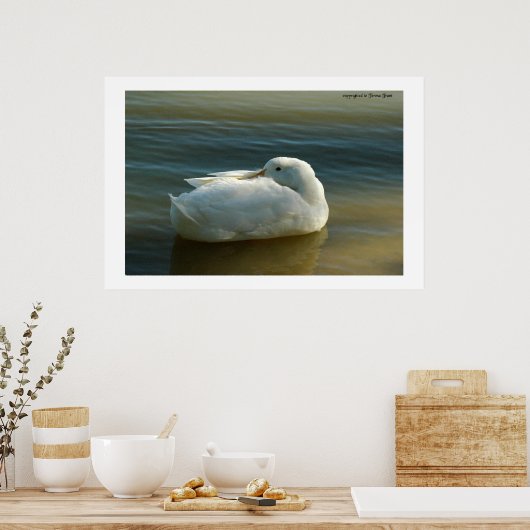 Weiß weich poster (Küche)