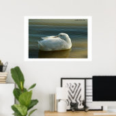 Weiß weich poster (Heimbüro)