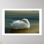 Weiß weich poster (Vorne)