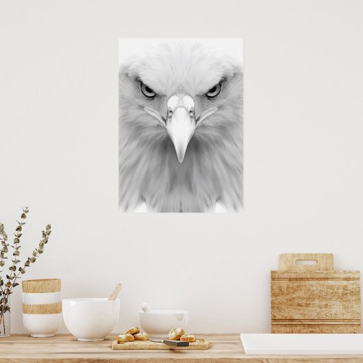 Weißadlerposter Poster (Küche)