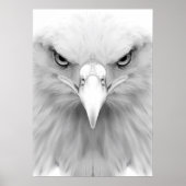 Weißadlerposter Poster (Vorne)