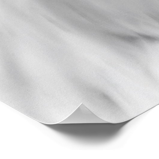 Weißadlerposter Poster (Ecke)