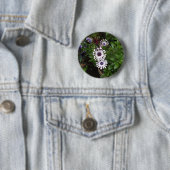 Weißafrikanischer Daisy Button (Beispiel)