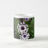 Weißafrikanischer Daisy Kaffeetasse (Mittel)