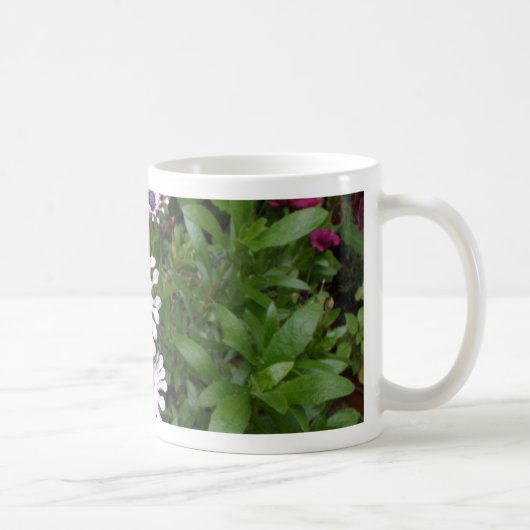 Weißafrikanischer Daisy Kaffeetasse (Rechts)