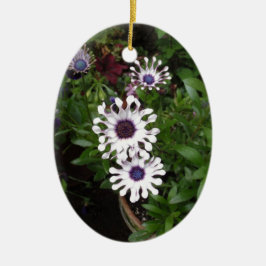 Weißafrikanischer Daisy Keramikornament