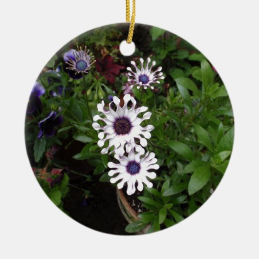 Weißafrikanischer Daisy Keramikornament (Vorne)