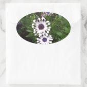 Weißafrikanischer Daisy Ovaler Aufkleber (Tasche)