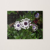 Weißafrikanischer Daisy Puzzle (Horizontal)