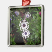 Weißafrikanischer Daisy Silbernes Ornament (Links)