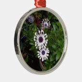 Weißafrikanischer Daisy Silbernes Ornament (Rechts)
