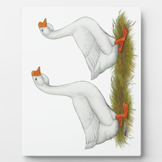 Weißafrikanischer Gänse Fotoplatte (Vorderseite)