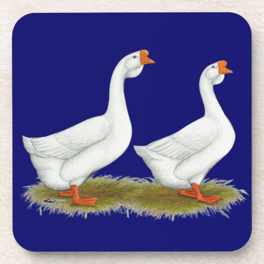 Weißafrikanischer Gänse Getränkeuntersetzer (Vorderseite)