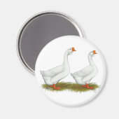 Weißafrikanischer Gänse Magnet (Vorderseite/Rückseite)