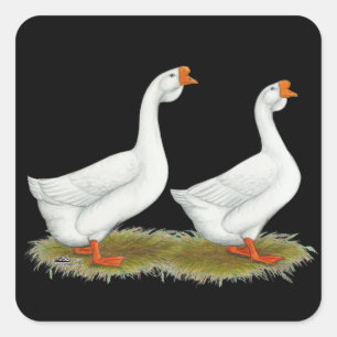 Weißafrikanischer Gänse Quadratischer Aufkleber