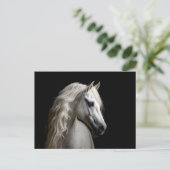 Weißandalusischer Stallion Postkarte (Stehend Vorderseite)