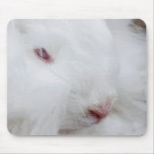 Weißangora-Kaninchen Mousepad (Vorne)