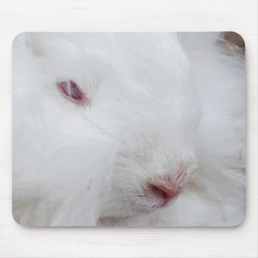 Weißangora-Kaninchen Mousepad (Vorne)