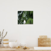 Weißaube Poster (Küche)