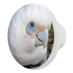 Weißaustralisches Cockatoo, Keramikknauf