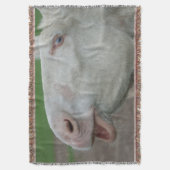 Weißbarocke Donkey Decke (Vorderseite Vertikal)