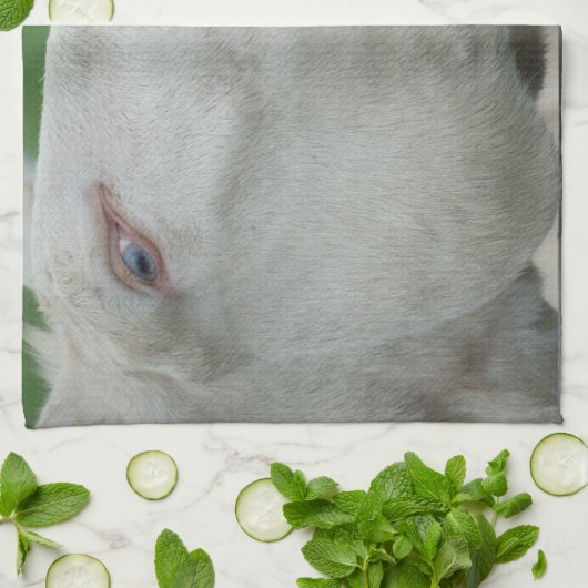 Weißbarocke Donkey Geschirrtuch (Gefaltet)