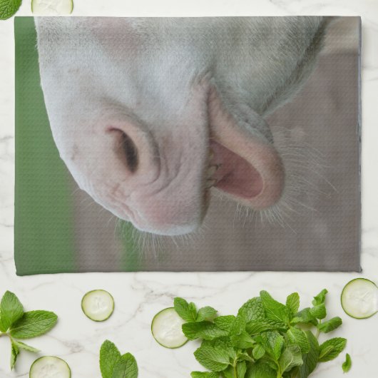 Weißbarocke Donkey Küchentuch (Gefaltet)