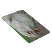 Weißbarocke Donkey Magnet (Rechte Seite)