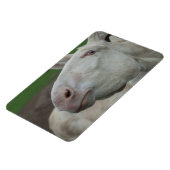 Weißbarocke Donkey Magnet (Linke Seite)