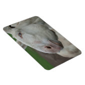 Weißbarocke Donkey Magnet (Rechte Seite)