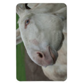 Weißbarocke Donkey Magnet (Vertikal)